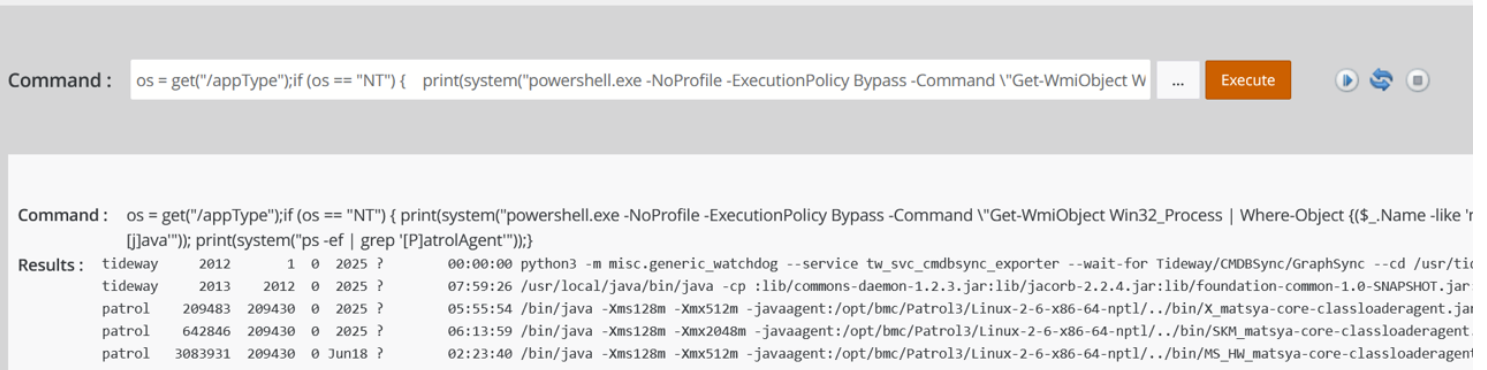 Process information returned by the diagnostic script